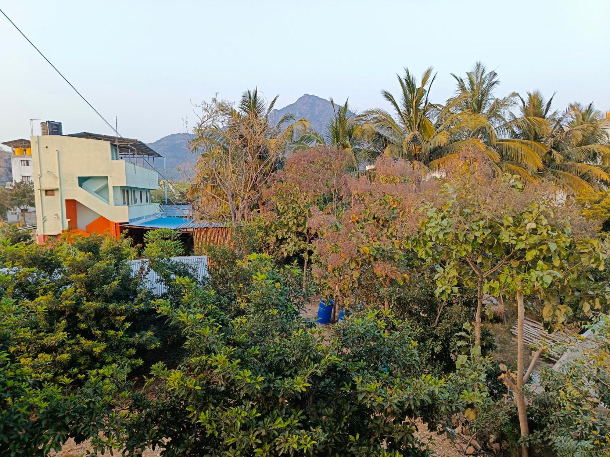 Abaranji Guest House Tiruvannāmalai Εξωτερικό φωτογραφία